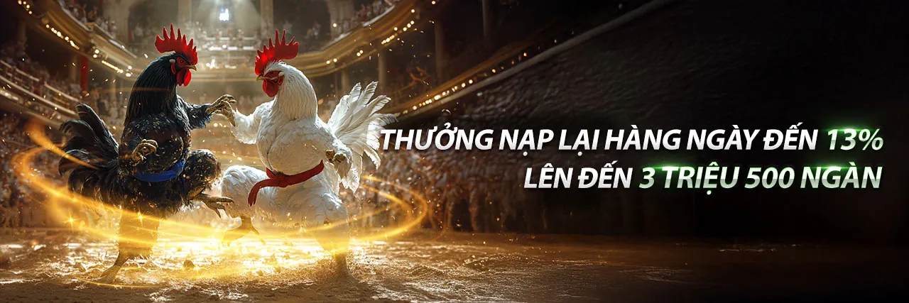 Đá gà trực tuyến kịch tính trên 77win1 App